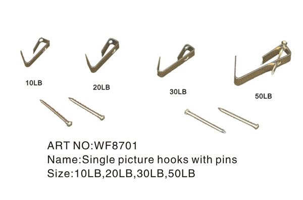 Single picture hooks with pins